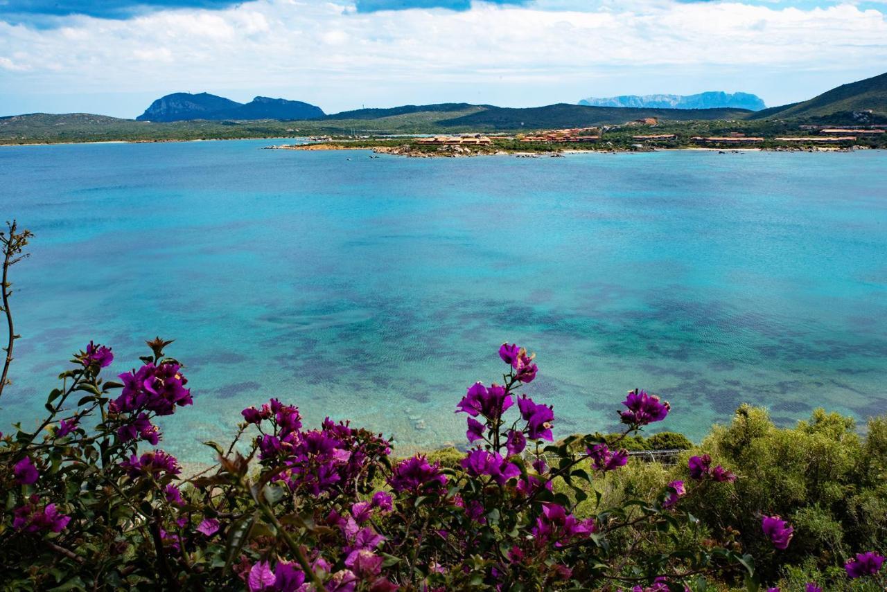 Apartamento Casa Valery Wonderful Sea View Porto Rotondo Exterior foto
