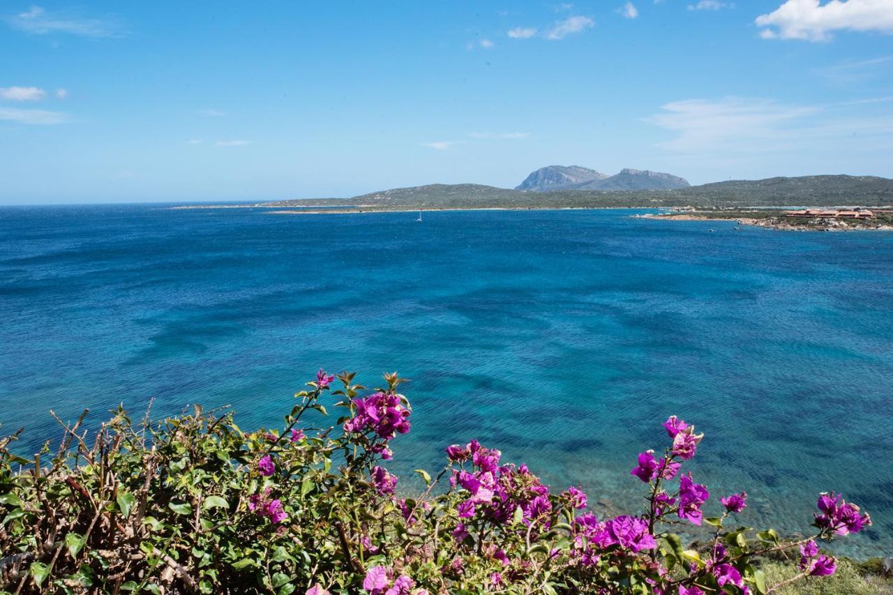 Apartamento Casa Valery Wonderful Sea View Porto Rotondo Exterior foto